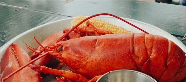 Where To Get The Best Lobster In Bar Harbor, Maine | Kerren Manzella